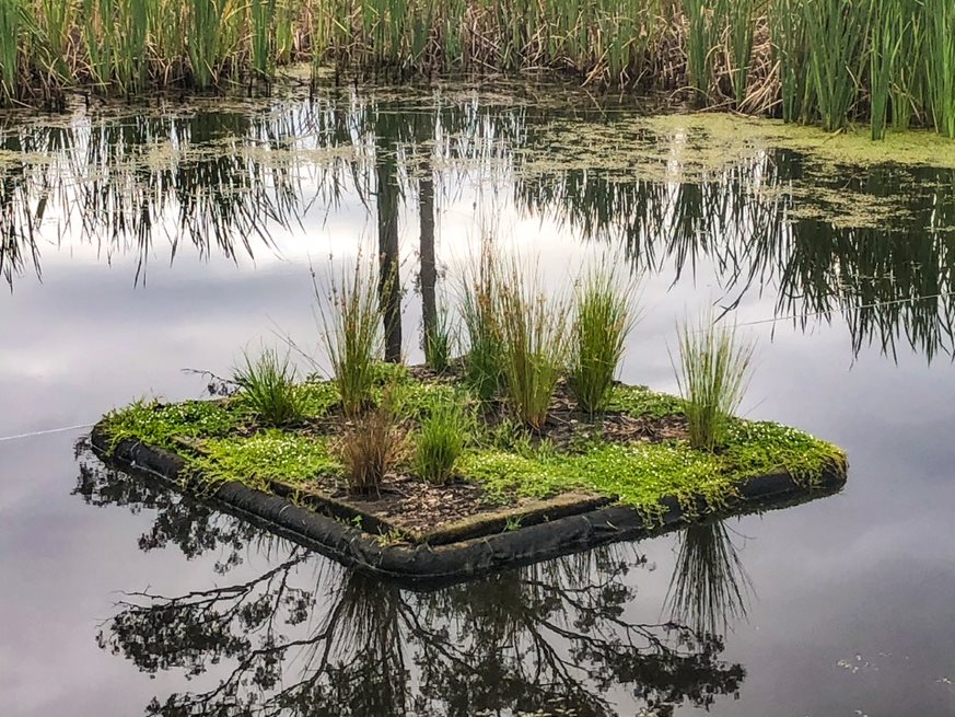 Floating Wetlands 